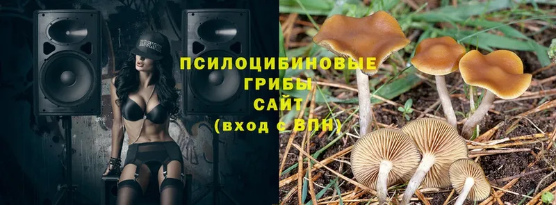 Галлюциногенные грибы Magic Shrooms  OMG ссылка  Белоусово 